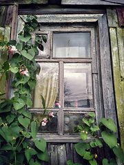 photo "***"