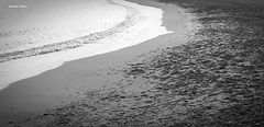 photo "the beach"