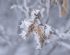 фото "Скоро лето"