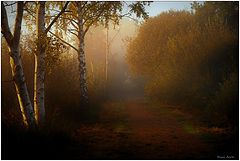 photo "***"