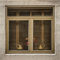 photo "Window"
