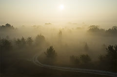 photo "***"
