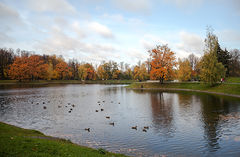 фото "Городская осень"