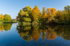 фото "Краски осени ."