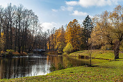 photo "***"