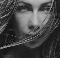 photo "Krivitskiy"