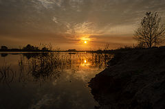photo "***"