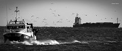 photo "on the sea"