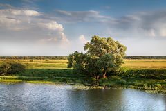 фото "Наедине с рекой"