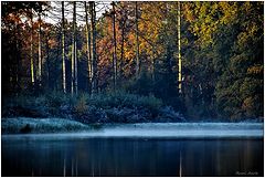 photo "***"