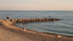 photo "November"