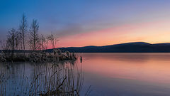 фото "Розовое утро"