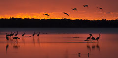  Sunset arrival