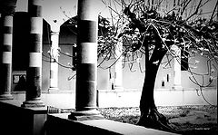photo "ancient walls"