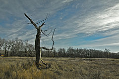 photo "***"
