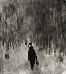 photo "***"
