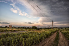 photo "Before the rain"