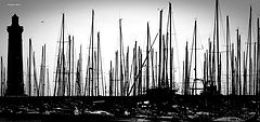 photo "in the port"