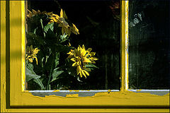 photo "***"