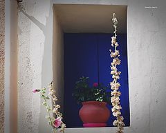 photo "the corner"
