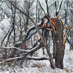 фото "Сломалось"