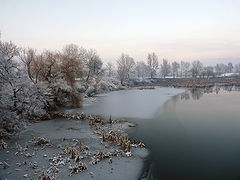 фото "Филигрань"