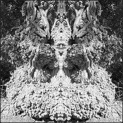 фото "the beehive-monster"