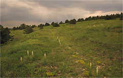 photo "A mountain pass"