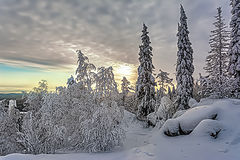 фото "Вечерний свет"