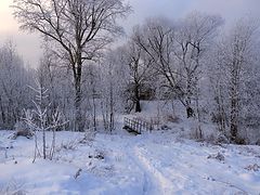 фото "Когда зима еще была"