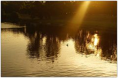 photo "***"
