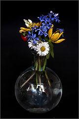 photo "***"