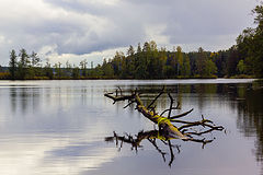 photo "***"