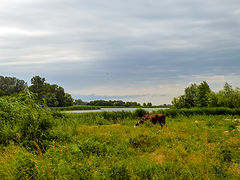 фото "Казачий ерик."