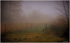 photo "***"