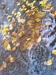 фото "Осенняя фантазия дождя..."