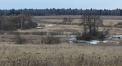 фото "Первый день марта"