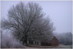 photo "***"