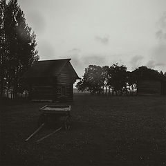 photo "***"