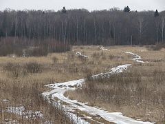 фото "Первый день марта (2)"
