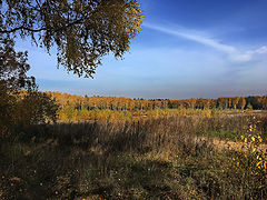 photo "For mushrooms"