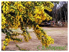 photo "***"