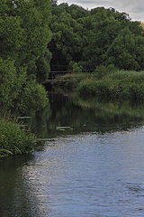 photo "***"