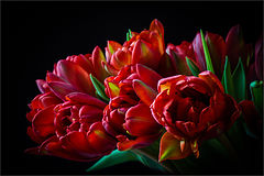 photo "* * *"