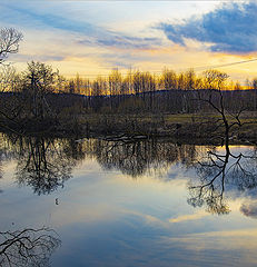 photo "Lines and curves"