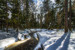 фото "Весеннее настроение"