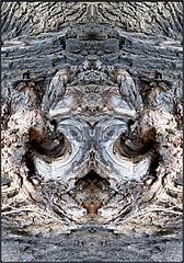 фото "demonio"