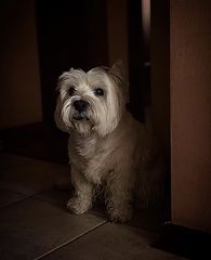 photo "Подражая Рембрандту_Imitating the Rembrandt_pavel_bondarev_photo"