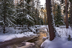 фото "Вечерний свет"