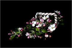 photo "***"